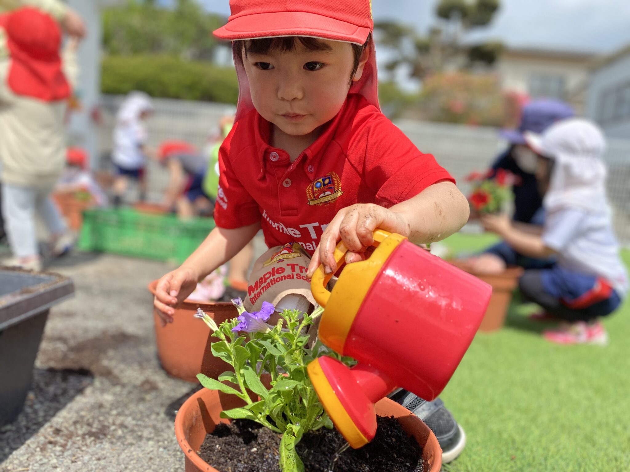 flower-planting